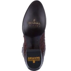 Dan Post DP3016 13" Pershing Dark Brown Full Quill Ostrich Foot R Toe (SHOP IN-STORE TOO) -Western Cowboy Clothing 01 DP3016 BN180 big 5454dc79 e569 48f9 8492 1861f35df564