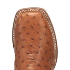 Dan Post DP4874 11" Alamosa Bay Apache Full Quill Ostrich Wide Square Toe (SHOP IN-STORES TOO) -Western Cowboy Clothing DP4874 5