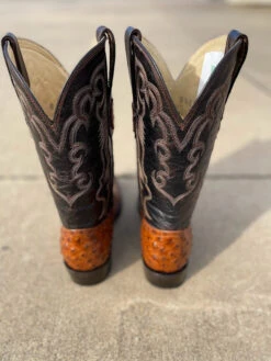 Cowtown R6064 12" Cognac Full Quill Ostrich Print R Toe Boot (SHOP IN-STORES TOO) -Western Cowboy Clothing IMG 0147