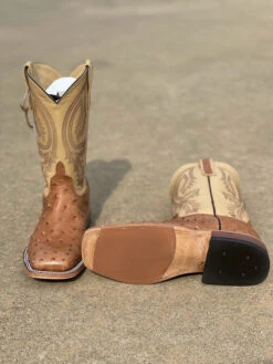 Anderson Bean 6881L 11" Tan Full Quill Ostrich Wide Square Toe (SHOP IN-STORES TOO) -Western Cowboy Clothing IMG 6136