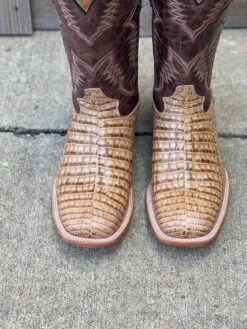 Cowtown Q6153 12" Oryx Caiman Belly Print Square Toe Boot (SHOP IN-STORE TOO) -Western Cowboy Clothing IMG 7612