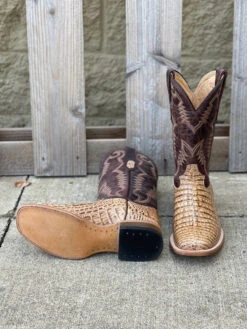 Cowtown Q6153 12" Oryx Caiman Belly Print Square Toe Boot (SHOP IN-STORE TOO) -Western Cowboy Clothing IMG 7614