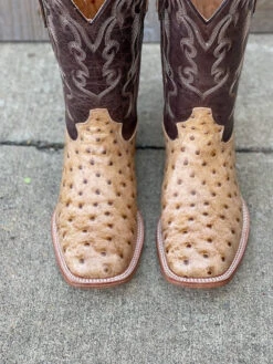 Men's Cowtown Q6077 12" Oryx Full Quill Ostrich Print Square Toe Boot (SHOP IN-STORE TOO) -Western Cowboy Clothing IMG 7630