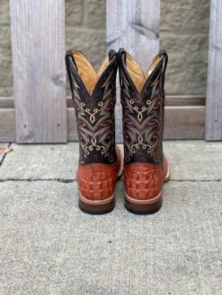 Men's Cowtown Q6094 12" Cognac Caiman Tail Print Square Toe Boot -Western Cowboy Clothing IMG 7645