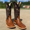 Women's Cowtown 13" Q464 Cognac Full Quill Ostrich Print Wide Square Toe Boot (SHOP IN-STORES TOO)