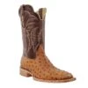 R. Watson RW4506-2 11" Antique Saddle Bruciato Full Quill Ostrich W/Laguna Cognac Cowhide Top Wide Square Toe 1 R. Watson RW4506-2 11" Antique Saddle Bruciato Full Quill Ostrich W/Laguna Cognac Cowhide Top Wide Square Toe -Western Cowboy Clothing RW4506 2 1