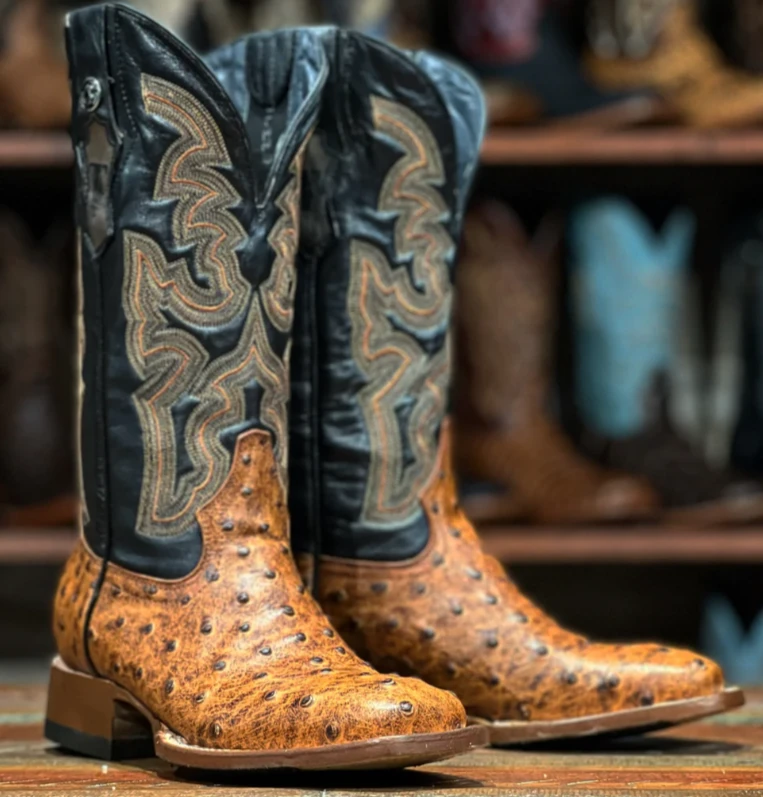 Women's Tanner Mark TML207102 Matte Cognac Ostrich Print W/Flex Fit Kabul Black Top Square Toe Boot (SHOP IN-STORE) 4 Women's Tanner Mark TML207102 Matte Cognac Ostrich Print W/Flex Fit Kabul Black Top Square Toe Boot (SHOP IN-STORE) - Image 2