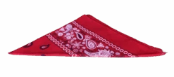 Red Large Bandana